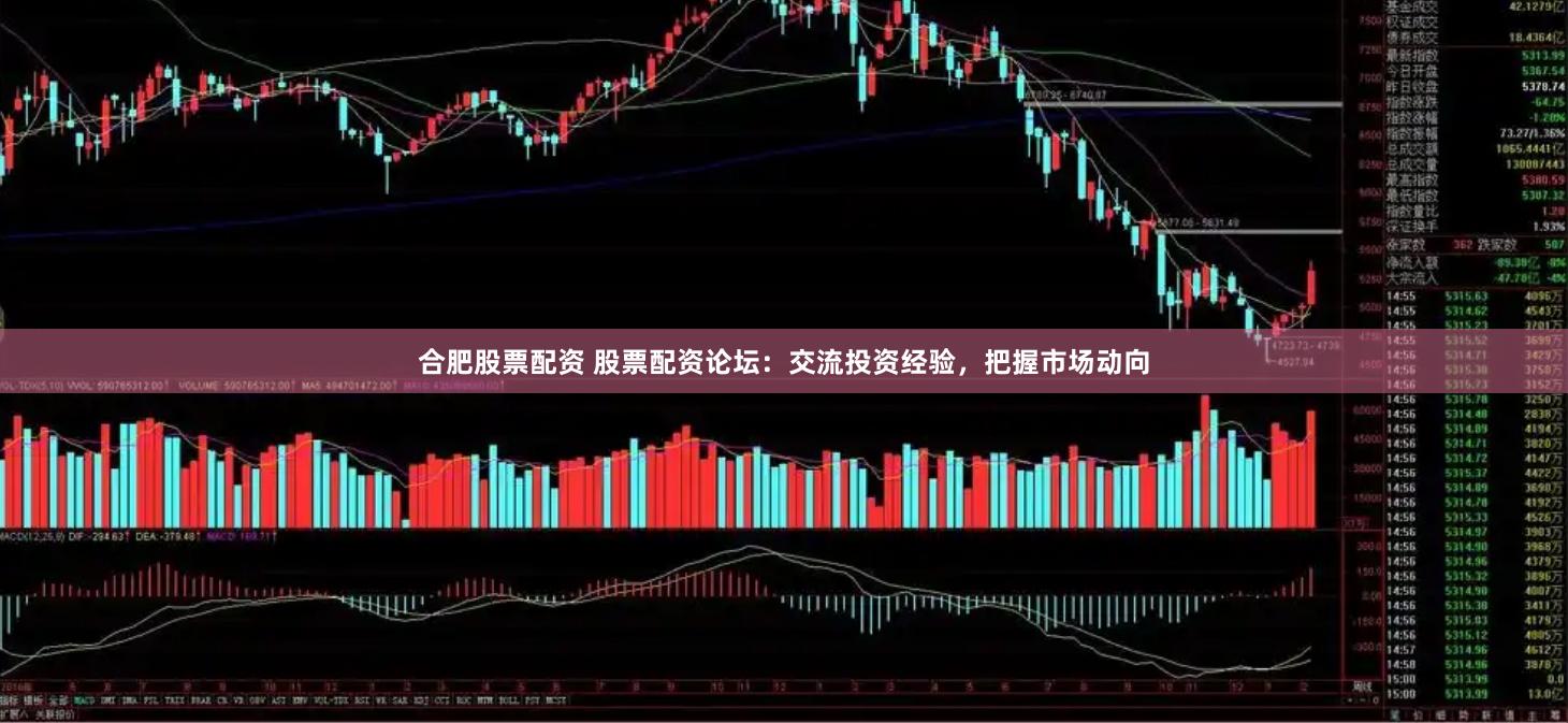 合肥股票配资 股票配资论坛：交流投资经验，把握市场动向