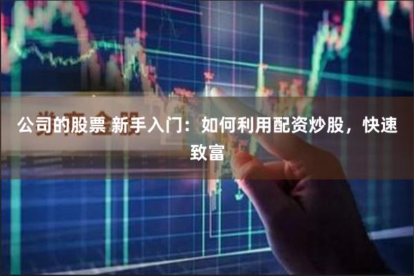 公司的股票 新手入门：如何利用配资炒股，快速致富