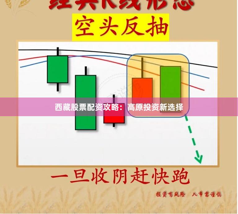西藏股票配资攻略：高原投资新选择