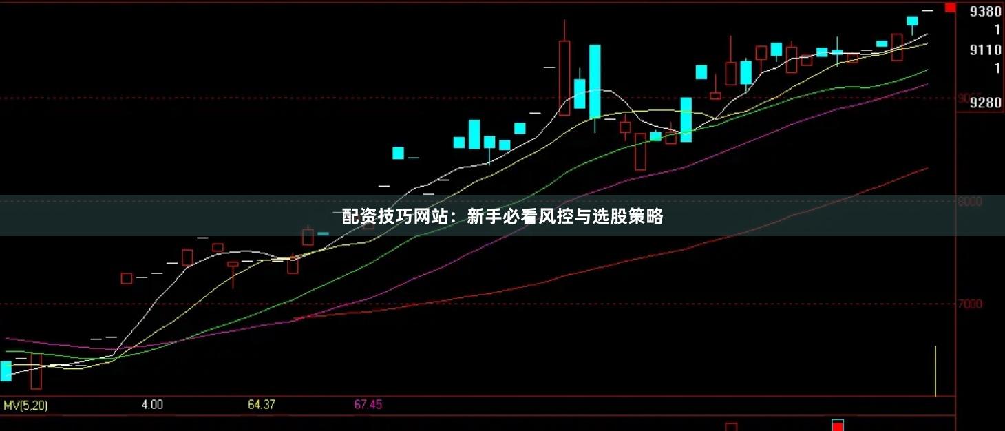 配资技巧网站：新手必看风控与选股策略