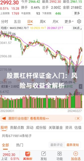 股票杠杆保证金入门：风险与收益全解析